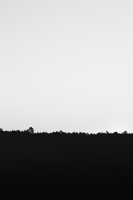 Minimalist forest silhouette aesthetic